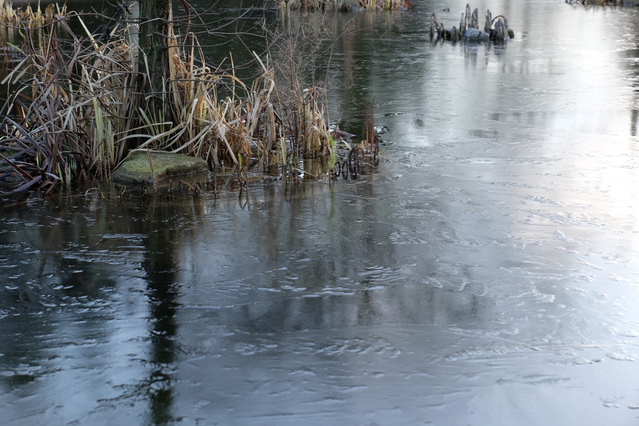 Januar: Zugefrorener Teich