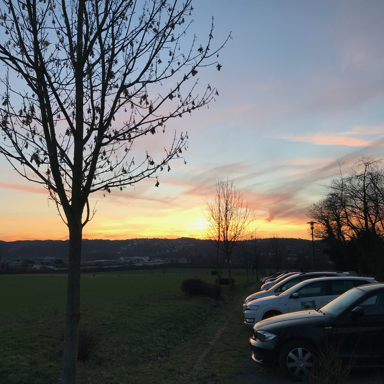 Sonnenuntergang mit Baum und Autos