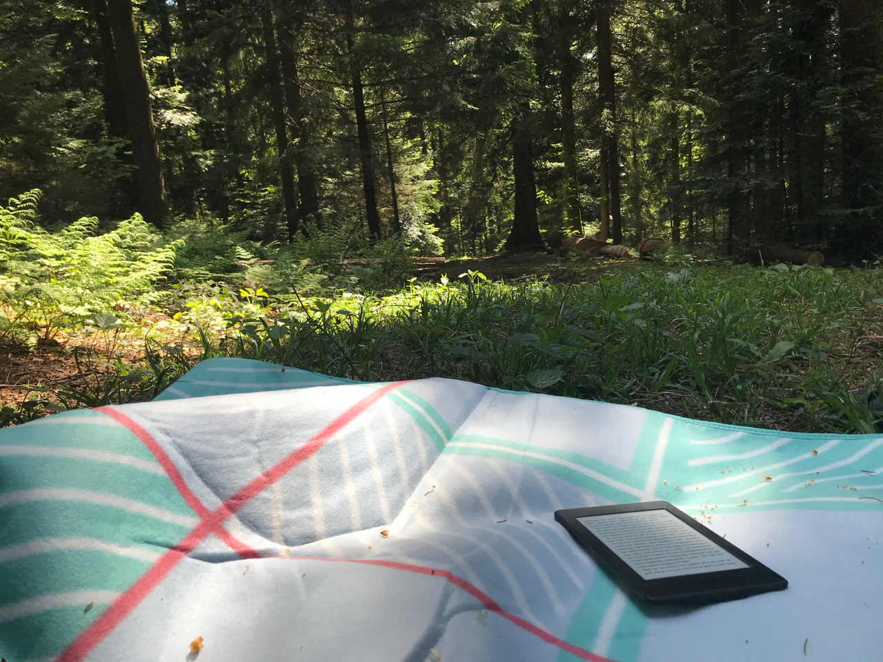 Mit Buch im Wald: Buch auf Picknickdecke mit Blick in den Wald
