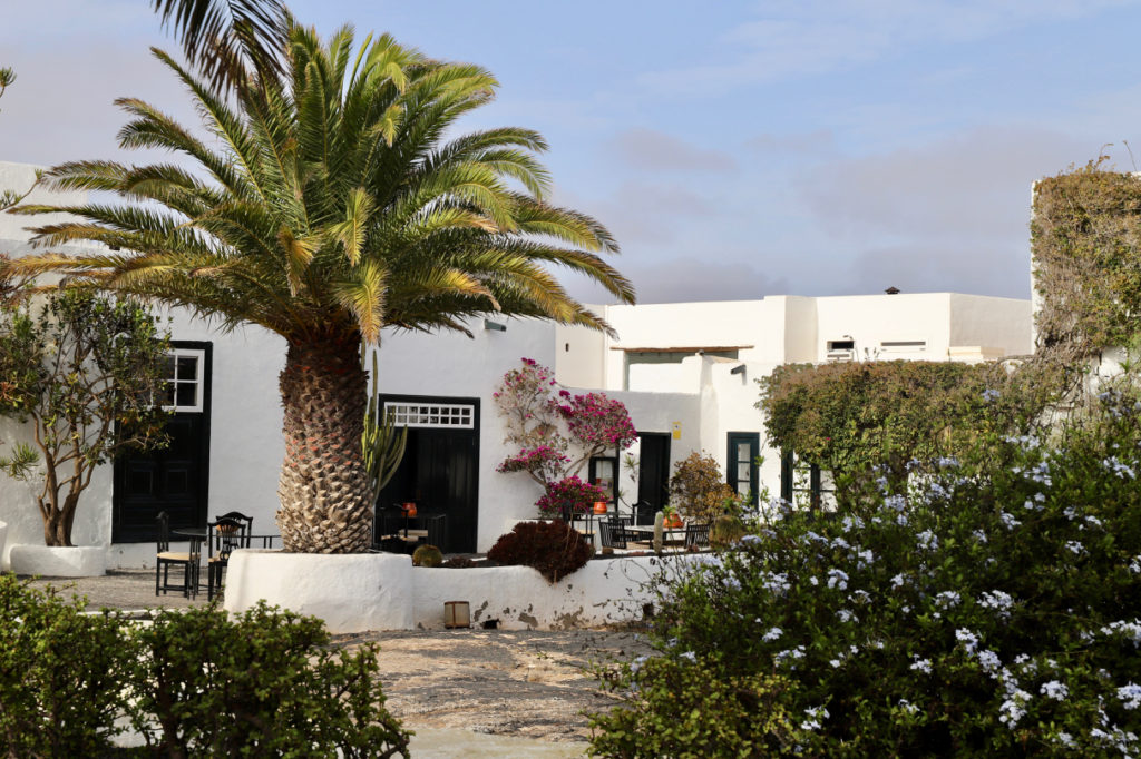 Caserio de Mozaga: Ansicht af weißes Haus mit Palme und Blumen vor der Tür