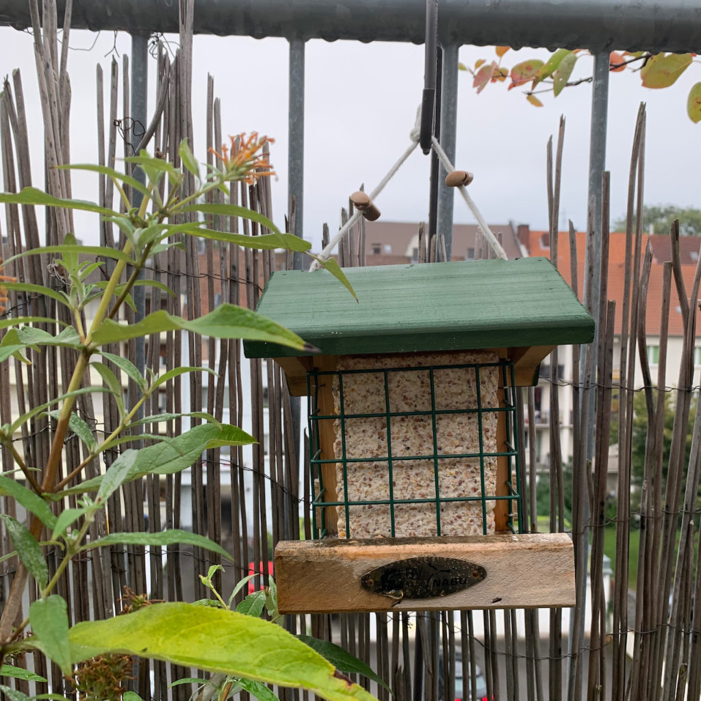 Vögel: Kleines Hölzhäuschen für Energieblocks 