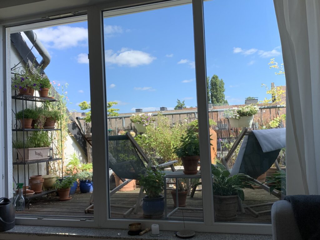 Terrasse und blauer Himmel: Ein Regal mit Blumen und Pflanzen, viele Blumentöpfe und zwei Liegestühle mit salbei-farbenem Bezug