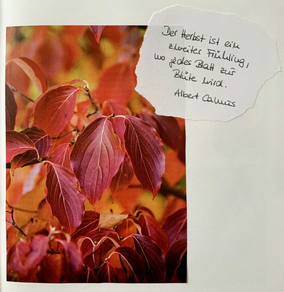 Zitat Albert Camus: "Der Herbst ist ein zweiter Frühling, wo jedes Blatt zur Blüte wird."