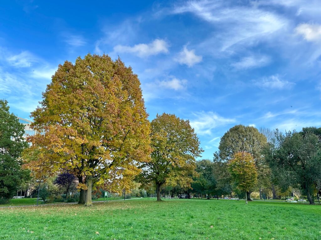 Bunte Bäume im Park