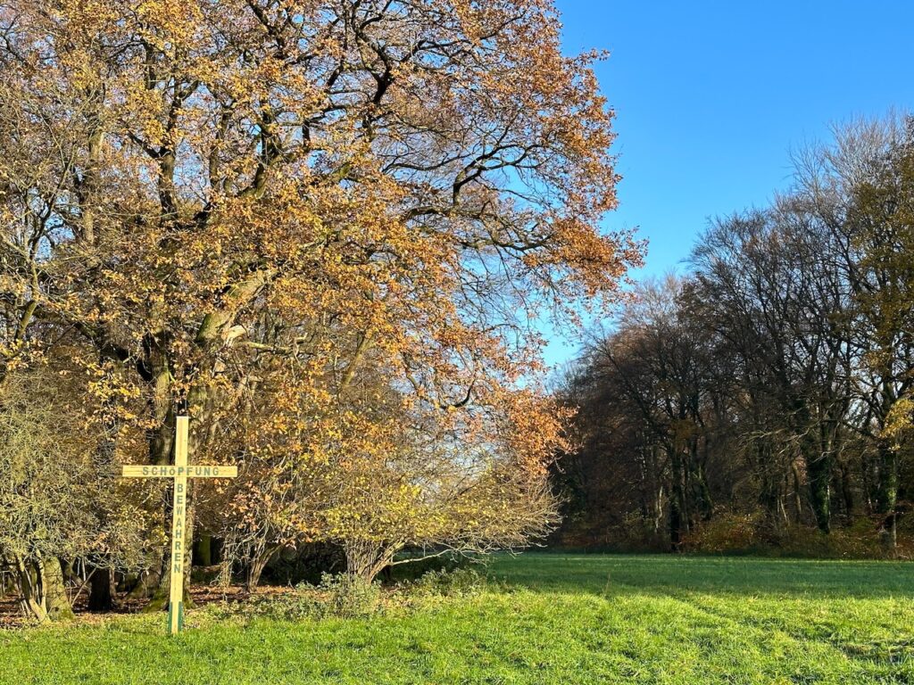 Winterlandschaft mit Wiese und Bäumen. Davor ein großes Holzkreuz mit der Aufschrift "Schöpfung bewahren"