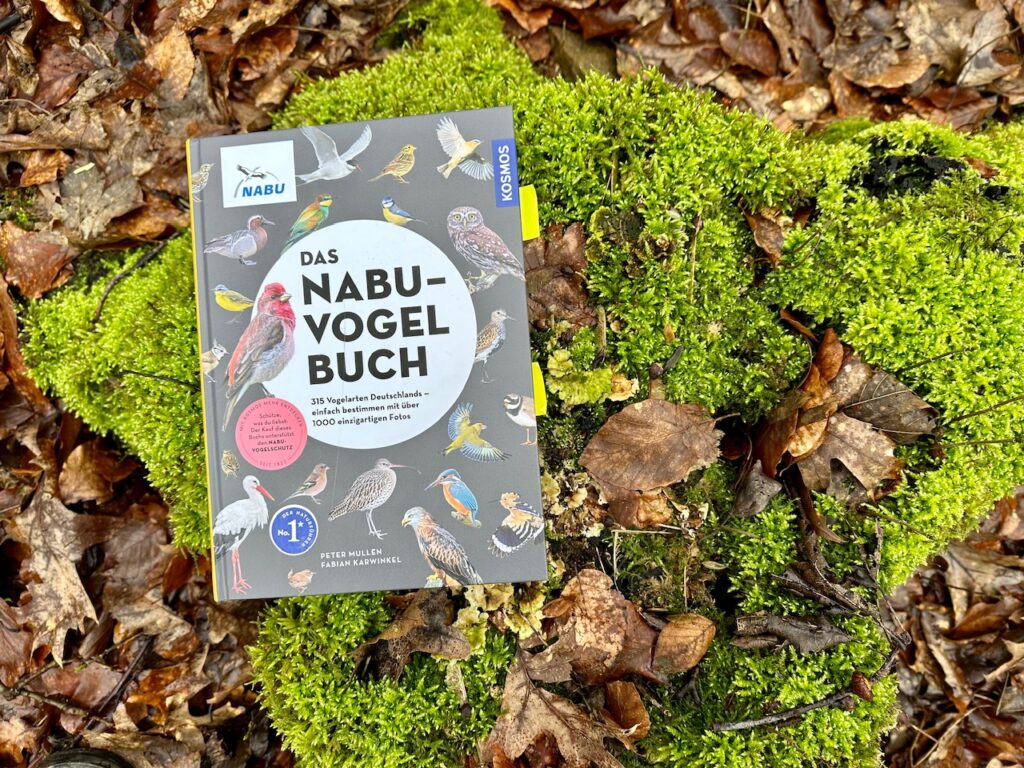 Das NABU-Vogelbuch. liegend auf einem vermoosten Baumstumpf 