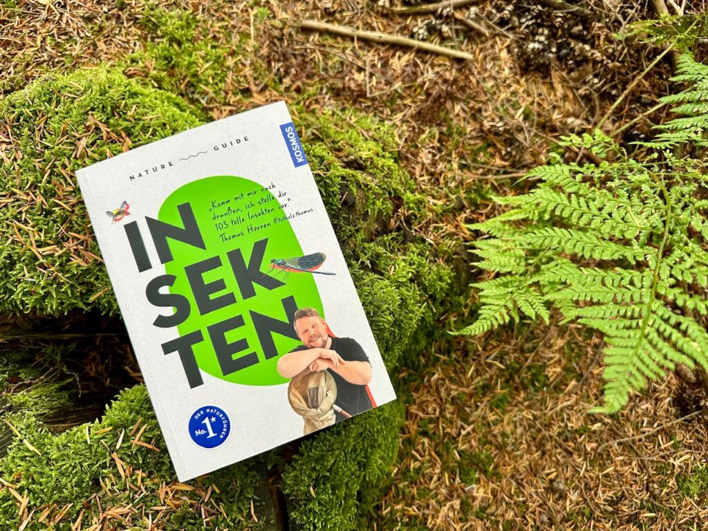 Buch "natur Guide Insekten" liegt auf vermoostem Baumstumpf neben Farn.